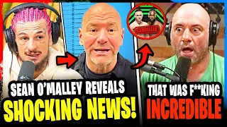 Sean O'Malley REVEALS SAD NEWS, UFC 293 fight CANCELLED, Joe Rogan REACTION, Dana White ANGRY