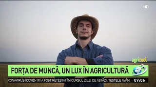 Agricool. Forța de muncă a devenit un lux în agricultură