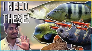 FIVE new Fish I want to buy in 2024!