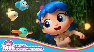 True's FAVORITE Season 3 Wishes 🌈 SEASON 3 COMPILATION 🌈 True and the Rainbow Kingdom 🌈