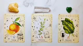 THE NEXT 10 DAYS! 🌟🌷🌈 Pick A Card 🔮✨ Timeless Tarot Reading