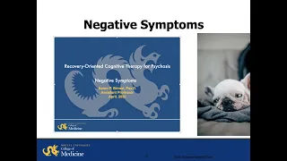 Negative Symptoms: A Recovery-Oriented Cognitive Therapy Approach