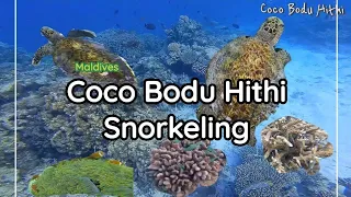 Coco Bodu Hithi(Maldives) - snorkeling near water pool villa