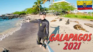 How to travel to Galapagos in 2021