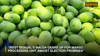 West Bengal's Malda Mango Processing Unit Pledged Ahead of May 7 Polls | DDI NEWSHOUR