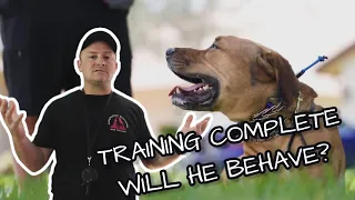 OUT OF CONTROL DOG RETURNS HOME AFTER TRAINING!