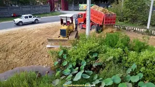 Full Project Clearing Lake and Filling Land by Bulldozer Komatsu D31P and Dump truck 5Ton Unloading