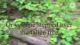 More footprints- a short video