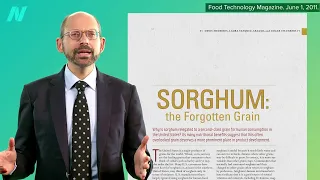 Is Sorghum a Healthy Grain?