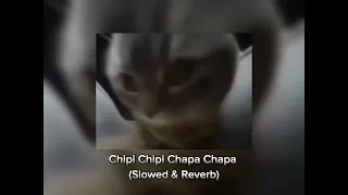 Chipi Chipi Chapa Chapa (Slowed & Reverb)