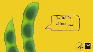 Do GMOs Affect Your Health?