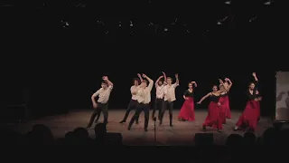 Flamenco VOLARE