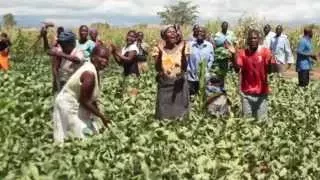 Watch How UN is Supporting Building of Resilience in Malawi