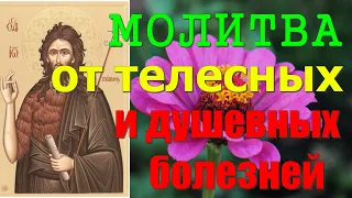 Молитва от телесных и душевных болезней