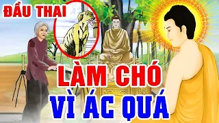 NGƯỜI MẸ ĐỘC ÁC, Đầu Thai Làm Chó Giữ Cửa...Được Phật HÓA ĐỘ _ Chuyện Nhân Quả Luân Hồi_Sợ Khiếp Vía