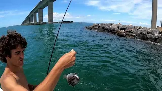 Fishing inside tampa bay for snapper, grouper and inshore species.