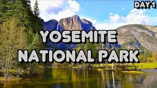ОС #140 / Йосемитский национальный парк, Калифорния, США / Yosemite National Park,California,USA//1