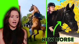 I'M GETTING A NEW HORSE, 2Raw2Ride Update & MORE | Raleigh Reacts