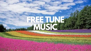 Overworld - Kubbi || FREE COPYRIGHT MUSIC