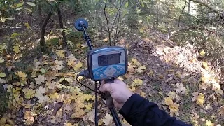 GoPro Hero 3 - тест в лесу. Копаем с x-TERRA 705