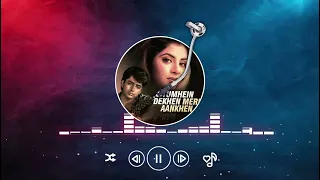 Tumhein Dekhen Meri Aankhen | Rang | Tumhein Dekhen Meri Aankhen Lofi | Alka Yagnik, Kumar Sanu