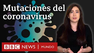 Ómicron: ¿cómo se originan las variantes del coronavirus? | BBC Mundo