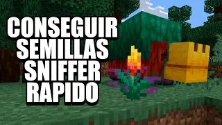 PLANTA SEMILLA DE SNIFFER TROFEO MINECRAFT