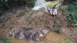 Harvesting Catfish Using A Pump That Sucks Water Out Of The Wild Lake - Goes To The Market To Sell