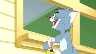 Tom and Jerry The Fast  the Furry