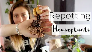 Collective Houseplant Haul & Repotting | Repot Houseplants & Stress About Pots w/ Me!