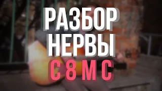 РАЗБОР НЕРВЫ - С 8 М С