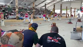 Woodchopping Semi Final 300mm Standing Block Championship 16/8/23 Brisbane @amandabeams3354