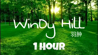 WINDY HILL -  NHẠC TĨNH TÂM - ĐỌC SÁCH -   LÀM VIỆC -   THƯ GIẢN