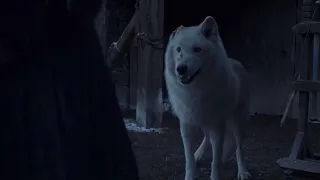 Jon Snow and Ghost reunite again ❤️❤️❤️ S08x06