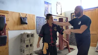 Wing Chun Wooden dummy SECTION 1 and applications