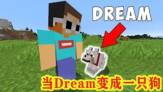 我的世界：当dream变成一只狗，乔治dream的趣味生存