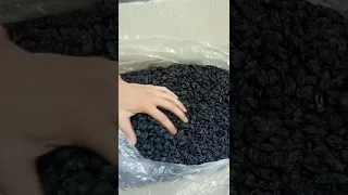 Dried Black Raisin Wholesale Price