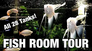 Fish Room Tour. Rare Plecos, Corydoras and More...