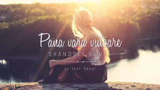 Jo feat. Randi - Pana vara viitoare (Shandree remix)