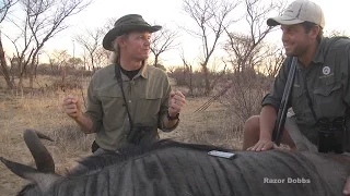 10mm auto pistol 100 yard heart shot on wildebeest by Razor Dobbs. Hunting