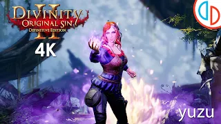 Divinity: Original Sin II - Definitive Edition (4K / 2160p) | yuzu Emulator on PC | Nintendo Switch