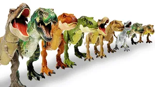 MASSIVE T-Rex Figures Haul: Biggest to Smallest  | T-Rex, Brachiosaurus, Apatosaurus & More!