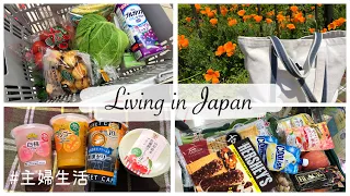 Grocery Shopping in Japan, Japan Supermarket Lunch Box, Spring Day Picnic | LIVING IN JAPAN VLOG