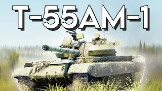 This Tank will Always Be META || T-55AM-1