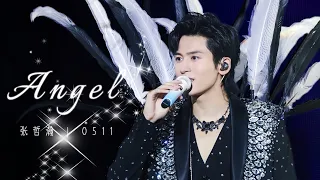 【2024生贺】张哲瀚 | Angel | 谢谢你给了我最幸福最盛大的时刻