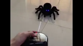 Electric Spider Remote Controlling Spider Tricky Toy With Remote Controller