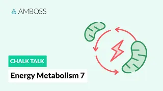 Energy Metabolism - Part 7: The Electron Transport Chain