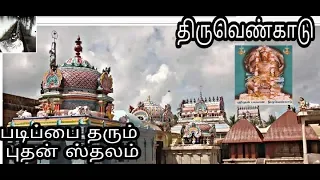 Thiruvengadu || புதன் ஸதலம் || "AagooraMoothi" || சுவேதாரண்யேசுவரர் கோயில்