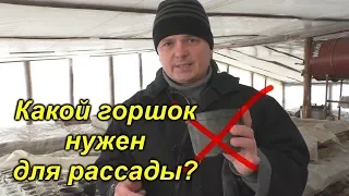 Не делайте ошибок! Сколько почвы нужно для шикарной рассады?