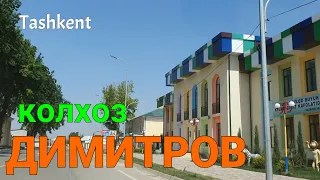 Uzbekistan Tashkent  колхоз ДИМИТРОВ   Нижне Чирчикский район